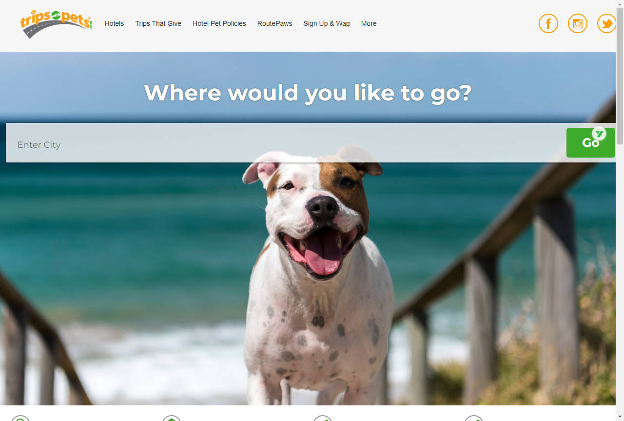 TripsWithPets | 宠物友好旅行预订专家