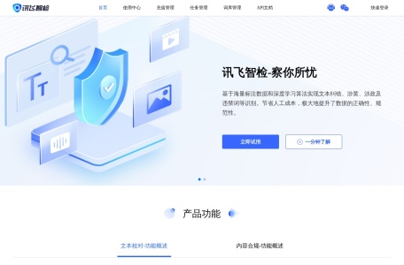 讯飞智检