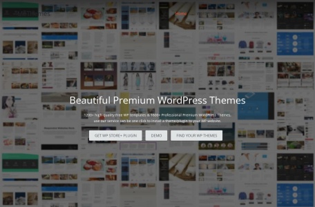 MeThemes | WordPress 主题精选、免费与付费 WP 模板分类分享平台